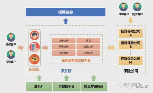 新能源車險專屬交易平臺正式上線 保費(fèi)暴漲 圖片